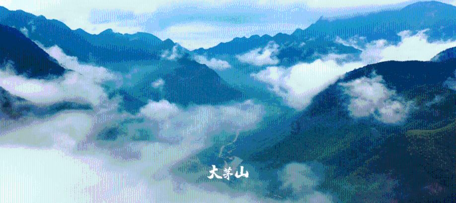 极品飞车20